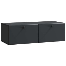 Dulap TV suspendat de perete, negru, 98 x 41 x 30 cm, 2 usi