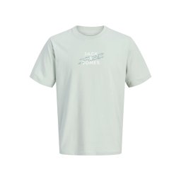 Jack & Jones Tricou baieti, cu decolteu la baza gatului, imprimeu text, Verde deschis (SELECTATI MARIMEA: 152 cm)