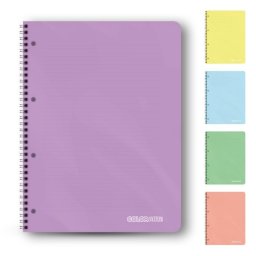 Caiet A4, 120 file cu spira, coperta plastic, Colorarte, 5 subiecte, hartie 70g/mp