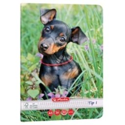 Set 70 x Caiet A5 36 de File, Tip I, Hartie 80g/mp, Motiv Cats and Dogs, Herlitz