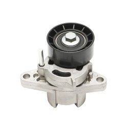 Rola intinzatoare cu arc pentru curea transmisie Dacia Logan benzina 8200603359
