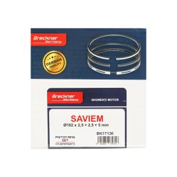 Set segmenti motor Saviem si Fiat Ø102 mm 2,5+2,5+5 mm Breckner