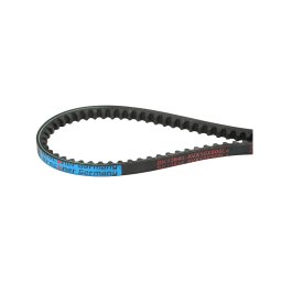 Curea de transmisie AVX 10X800 Breckner Germany pentru scuter si utilaje