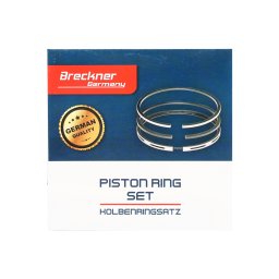 Set segmenti piston 100 mm 2.5x2.5x5.5 mm pentru Fiat Iveco 1909172