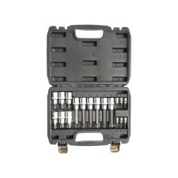 Trusa profesionala cu biti Torx 18 piese Breckner Germany în valiza