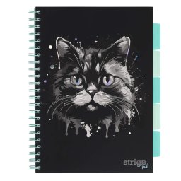 Caiet cu spirala si separatoare, STRIGO PADS Project Book PISICA, A4, Dictando