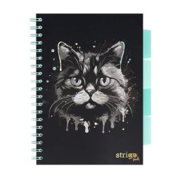 Caiet cu spirala si separatoare, STRIGO PADS Project Book PISICA, B5, Dictando