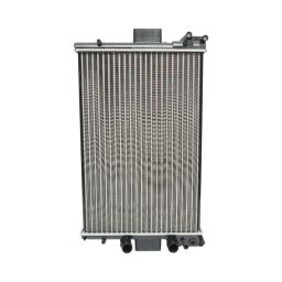 Radiator racire apa pentru Iveco Daily II si Daily III, 810x455 mm