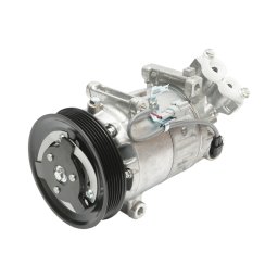 Compresor clima AC Renault Megane III, Scenic, Modus 1.2-1.6 LPG OEM 8200939386
