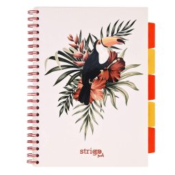 Caiet cu spirala si separatoare, STRIGO PADS Project Book TROPICAL, A4, Matematica, PADS061