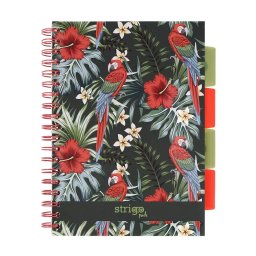 Caiet cu spirala si separatoare, STRIGO PADS Project Book TROPICAL, B5, Matematica, PADS063