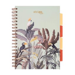 Caiet cu spirala si separatoare, STRIGO PADS Project Book Africa, B5, Matematica, PADS069