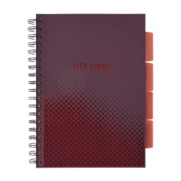 Caiet cu spirala si separatoare, STRIGO PADS Project Book Basic B5, Matematica, PADS059