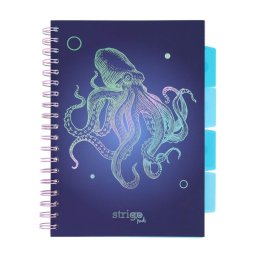 Caiet cu spirala si separatoare, STRIGO PADS Project Book CARACATITA, B5, Matematica, PADS051