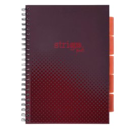 Caiet cu spirala si separatoare, STRIGO PADS Project Book Basic A4, Matematica, PADS056
