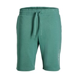 Jack & Jones Pantaloni scurti de trening barbati, JPSTARCHIE, Regular Fit, Verde deschis (SELECTATI MARIMEA: 2XL)