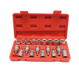 Trusa chei tubulare E-Torx si biti Torx 1/2 inch, 19 piese