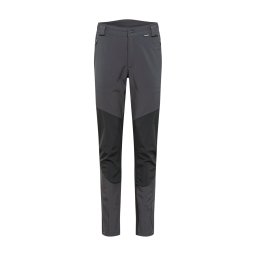 ICEPEAK Pantaloni outdoor 'Dorr' gri / gri metalic