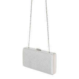 mascara Clutch argintiu / transparent