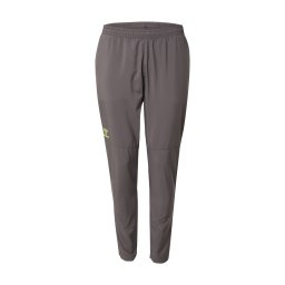 Hummel Pantaloni sport 'Sprint' gri metalic