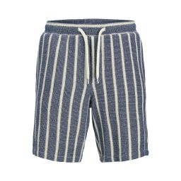 Jack & Jones Plus Pantaloni 'JPSTAiden' albastru / alb natural