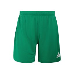 ADIDAS PERFORMANCE Pantaloni sport 'ENT26' verde / alb