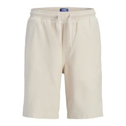 Jack & Jones Junior Pantaloni 'JPSTJAIDEN' grej