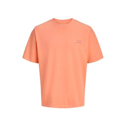 Jack & Jones Junior Tricou 'JCOETERNA' portocaliu / portocaliu homar / alb