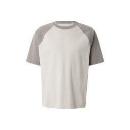 HOLLISTER Tricou gri / gri deschis
