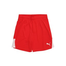 PUMA Pantaloni sport 'TeamLIGA26' roșu / alb