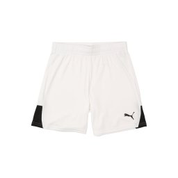 PUMA Pantaloni sport 'TeamLiga26' negru / alb