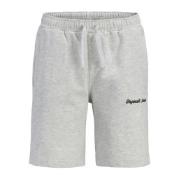 Jack & Jones Junior Pantaloni 'Karl Norrebro' gri deschis