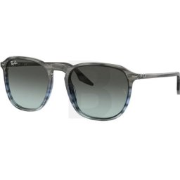 Ray-Ban Ray-Ban RB2203 1391GK 55 RB2203 1391GK 55