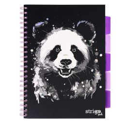 Caiet cu spirala si separatoare, STRIGO PADS Project Book PANDA, A4, Matematica, PADS021