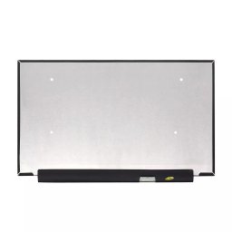 Display Laptop ROG Strix G15 G513RS-HQ014W Asus 15.6 FHD IPS NanoEdge 1920x1080 eDP 40 PIN slim 144Hz - fara prinderi