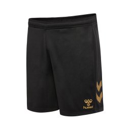 Hummel Pantaloni sport auriu / negru