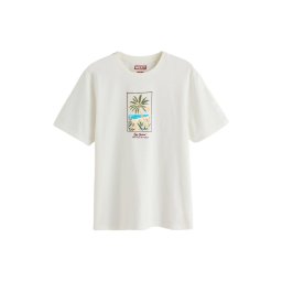 Next Tricou azur / ciocolatiu / verde amestecat / alb murdar
