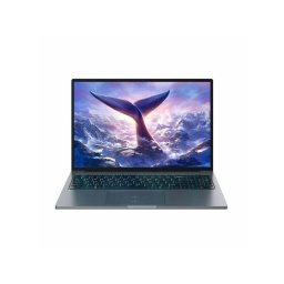 Laptop Blackview GamiBook-8, Procesor AMD Ryzen 7 7735HS, Display 16" WUXGA IPS, 16GB DDR5 RAM, 512GB SSD, Placa grafica integrata AMD Radeon 680M, Windows 11 Pro, Gri
