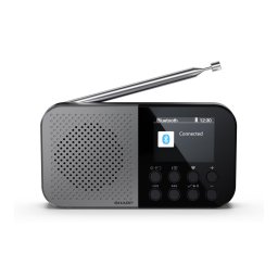 Radio digital portabil Sharp OSAKA DR-P520, suporta DAB, DAB+ si FM cu functie RDS, USB-C, Bluetooth 5.3, Gri