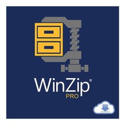 Licenta Software Corel WinZip 29 Pro, permanenta, pentru arhivare si compresie, Windows 64-bit OS