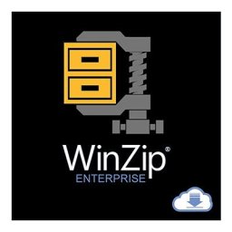 Licenta Software Corel WinZip Enterprise, permanenta, Windows OS