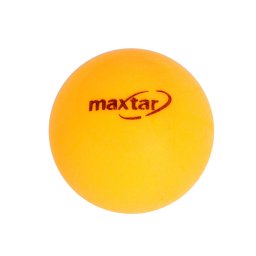 MAXTAR MINGE TENIS DE MASA ProVoyage Vacation