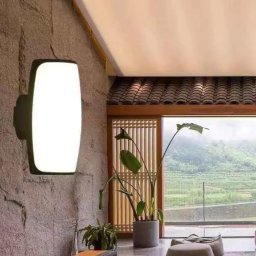 Aplica LED de exterior Casian 20W, IP65, negru, design oval pentru fatada