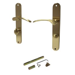 Set manere usi Violetta WC 08/072/0,6 L, finisaj auriu satinat