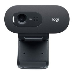 Camera web Logitech C505 HD 720p USB cu microfon si suport universal