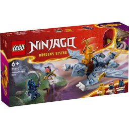 LEGO NINJAGO Tanarul Dragon Riyu 71810, set cu dragon si 3 minifigurine