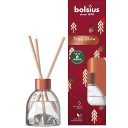 Difuzor de parfum camera Bolsius Winter Spices, Craciun, 60 ml