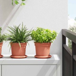 Ghivece pentru plante 6 pcs Rosu caramida Ø 15 x 12 cm Plastic GartenMobel Dekor