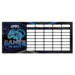 Jucător de Esport în acțiune: Orar