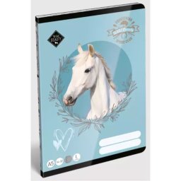 Frumusețe Sălbatică: Caiet tip 1, format A5, pentru clasa I